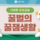 꿀벌문구
