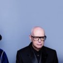 STAY PET SHOP 이미지