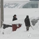 강진-38 이미지