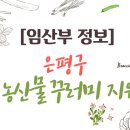 은혜농산물 이미지