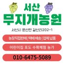 제주네갈치집