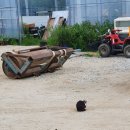 뭉치농장 이미지