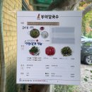 과천 대공원 경마공원 칼국수 맛집 봉덕칼국수 웨이팅 후기 내돈내산