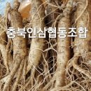 충북인삼농협 이미지