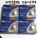 시민약국 | 인천 동물약국의 성지라는 인천시민약국 넥스가드 스펙트라 구입후기(심장사상충 예방)