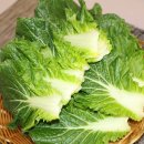 자연대로4 이미지