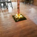 쭌스키친 이미지