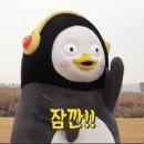햅삐