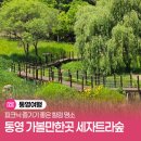 통영시지속가능발전교육재단(통영RCE세자트라센터) | 통영 가볼만한곳 세자트라숲, 피크닉 즐기기 좋은 힐링 명소
