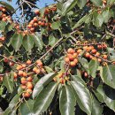 성동학교 이미지