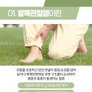 청라코끼리마취통증의학과의원 이미지