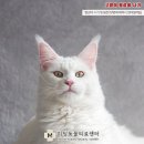 다산 봄 동물병원 이미지