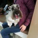 동래종합동물병원 이미지