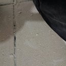 영등비사벌 이미지