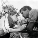 에덴의 동쪽 이미지