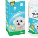 개금동물병원 네이버블로그