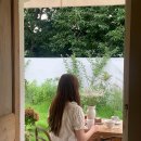 스테이밤밤 이미지