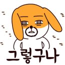자이드헤어