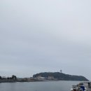 동준카랜드 | 에노시마 투어 그리고 요코하마 下편 (12/31)