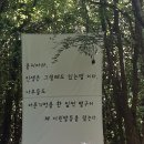 과일이야