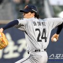 화이트 스포츠조선