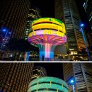 비비드vivid 이미지