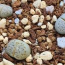 프렌드농장 이미지