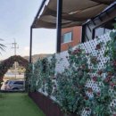 서울수마취통증의학과의원 이미지