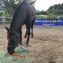 말