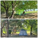 갯골생태공원(해수체험장) | 경기도 가볼만한 여행지추천 시흥갯골생태공원 버베나 해수체험장 수영장 개장시간 요금