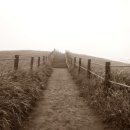 허브목장 이미지