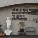 세계조가비박물관 이미지