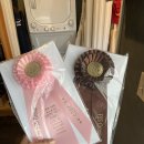 HeukSu Results at Coyote Hills Kennel Club 이미지