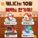 캐나다의 10월, 혜택도 한가득! Happy Thanksgiving! 🍁통신·정착 혜택 총정리 이미지