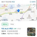 마포ALS수족관 | 인디언 복어 키우기 🐡🐡🐡 - 개체 건강한 수족관 추천
