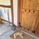 부여농부의집 이미지