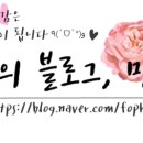 코시나(Cocina) 이미지