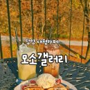 불태산농장 | 담양대형카페 모소갤러리 단풍이 멋진 한재골카페