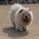 아리하우스 이미지