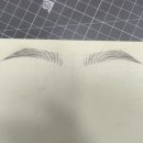 비비드포인