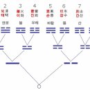 주역 Daum카페