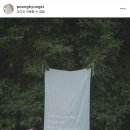 2712 | [W.9] 청주 체온 스튜디오 계약 후기 (하루 한 팀 프라이빗 촬영🤍) ft. 청주 누도, 대전 소브 비교