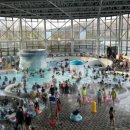 장금이네 이미지