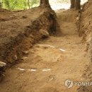 상동1천 이미지
