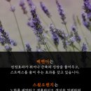 조이테라피 이미지