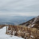 솔봉 Daum카페