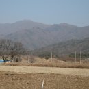 엣시브 Daum카페