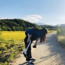 속초 외할머니댁 이미지