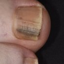 새론정형외과의원 이미지