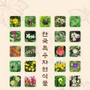 산과 들의 약용식물 이미지